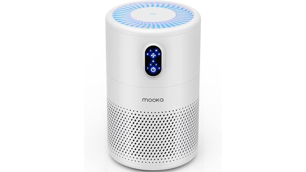 air purifier for large rooms