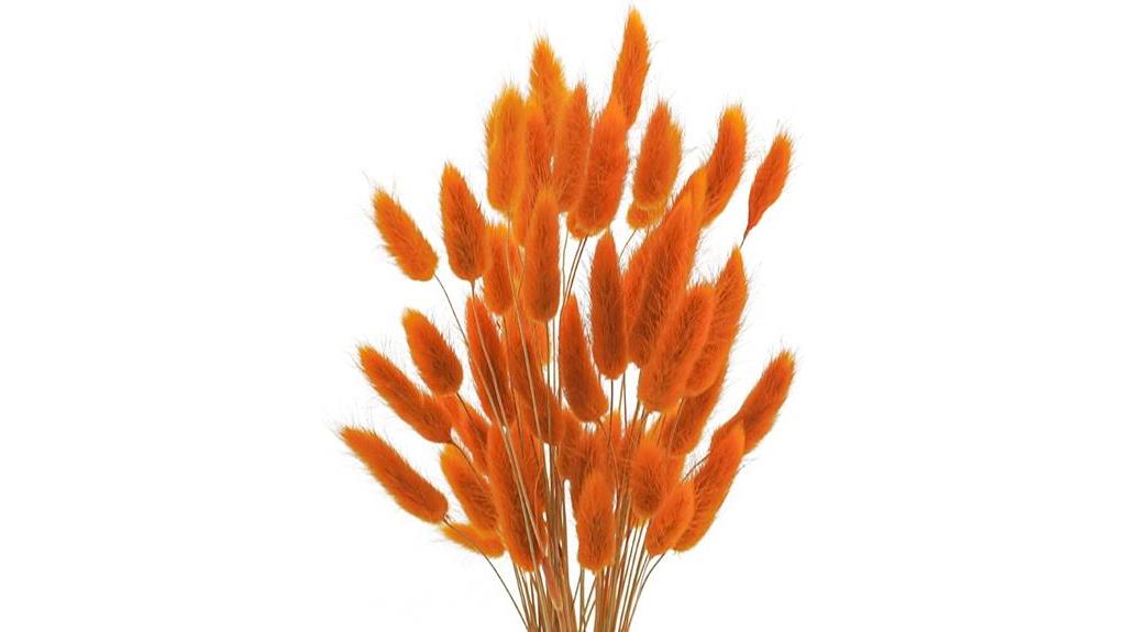 bunny tails in orange