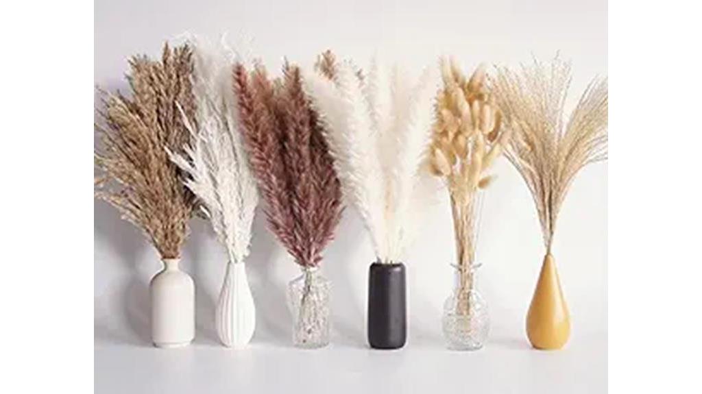 decorative dried pampas grass