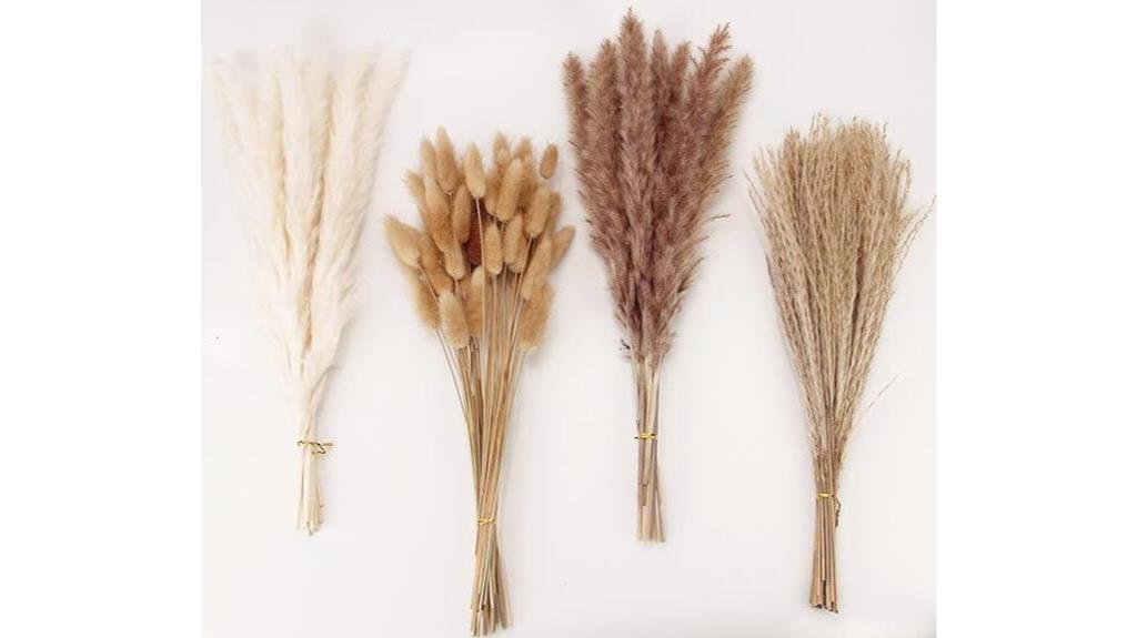 dried pampas grass decoration