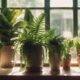 enhance interiors using houseplants