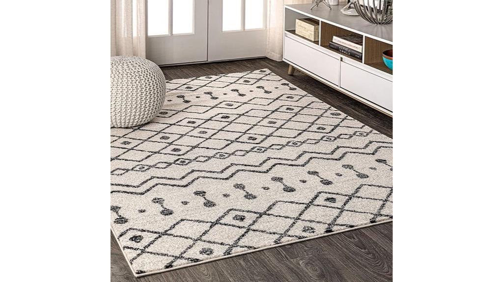 indoor moroccan farmhouse rug