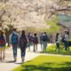 spring college start insights