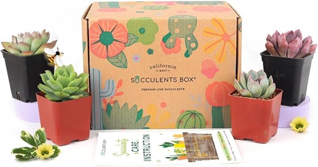 succulent subscription box service