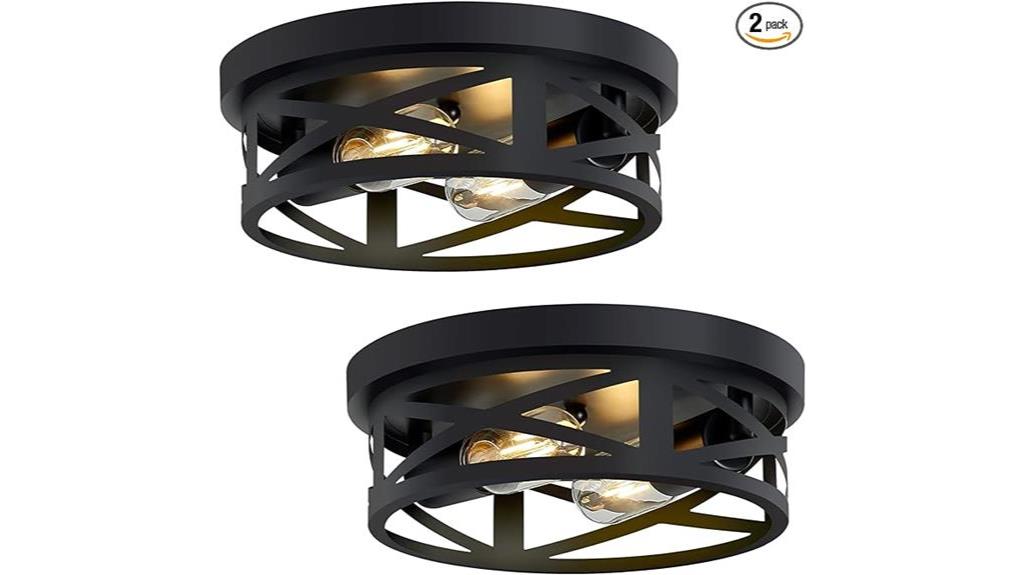 two pack ceiling lights