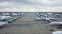 airline grounds fleet temporarily