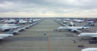 airline grounds fleet temporarily