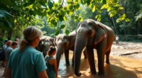 responsible wildlife tourism practices