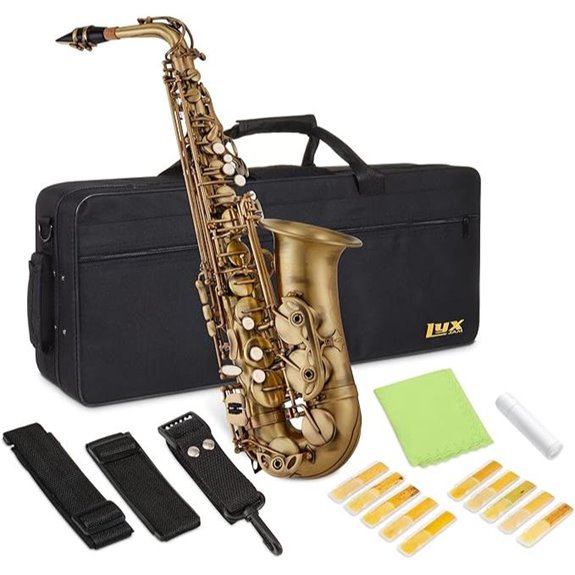 Alto E Flat Brass Saxophone Kit with Accessories