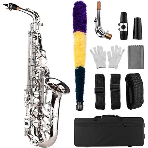 E Flat Alto Saxophone Set with Accessories