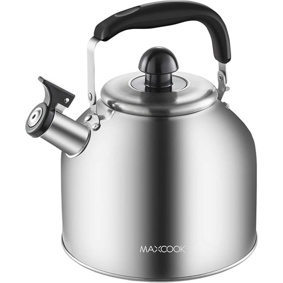Stainless Steel Whistling Tea Kettle for Stoves