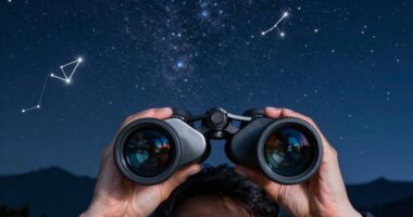 top astronomy binoculars 2026