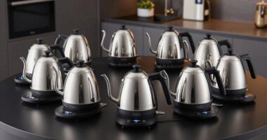 top electric gooseneck kettles