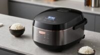 top fuzzy logic rice cookers