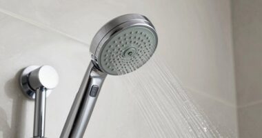 top shower head filters