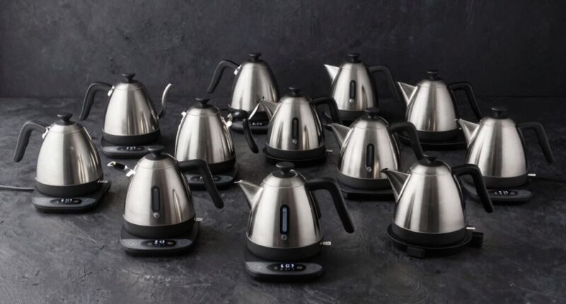 top variable temperature kettles