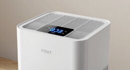 dehumidifier capacity misconceptions