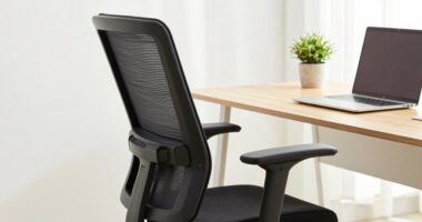 quick ergonomic chair adjustments