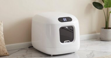 self cleaning litter box features