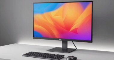 top 15 16 inch monitors