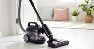 top allergy canister vacuums