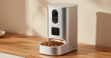 top camera equipped feeders