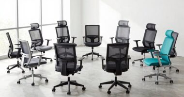top ergonomic office chair picks