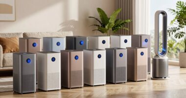top mold air purifiers