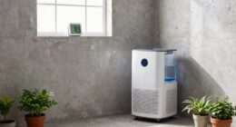 basement humidity control tips