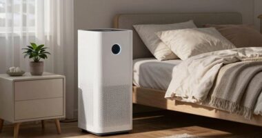 effective nighttime air purification