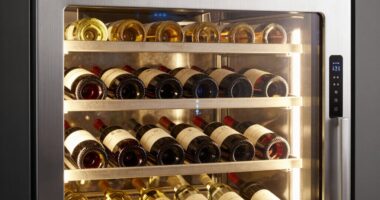 ideal wine storage temperatures