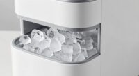 love for crunchy ice