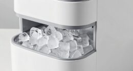 love for crunchy ice