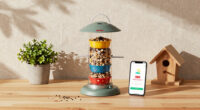 Birdfy Discount Codes: 15% Off Sitewide