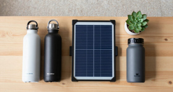 China's EcoFlow to sell solar panels in British supermarkets soon