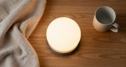 2 Best Home Night Lights In 2026